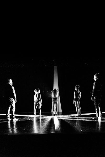 evolucidanse